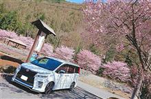 桜&#215;VOXY Part6