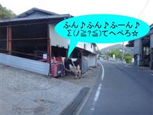 なんじゃこりゃあ！　(ﾟДﾟ≡ﾟДﾟ)