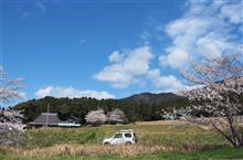 桜の時期が終わった頃になってやっと…