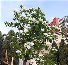 連休初日のさいたま市は快晴♪