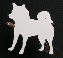 犬派 復権！？