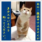 ボクは納豆が嫌いなのですが、 ...