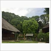 空気の支配・効率性への懐疑、 ...