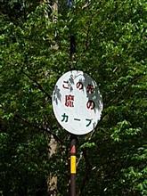 今回も