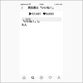 オカメインコとお散歩