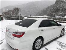 外出自粛って事で(^_^;)