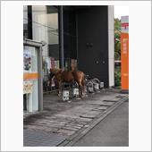 スコッチエッグって、イギリス ...