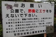 新たに導入した機材（中古）を試す📷