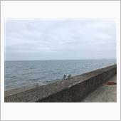 湿気る朝