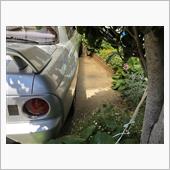 ようやく着陸♪