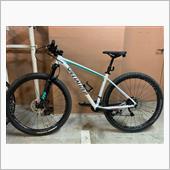 チョットだけMTBいじり
