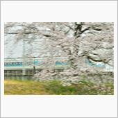 栃木の桜　東武日光線　(20 ...