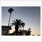 夕方の