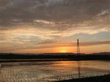 夕方に