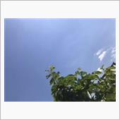 こんにちは🌞
