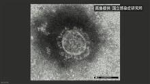 特別定額給付金のオンライン申請について