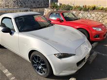 引っ越しと近況報告？（車）