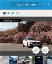 昨日の収穫 と 今日の収穫😆