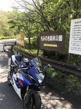 もみの木森林公園　プチツー