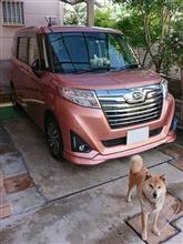 両親の車も洗車を（ステイホーム投稿企画！愛車をピッカピカに洗車！）