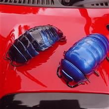 ダンゴムシとダイオウグソクムシ ダンゴムシとダイオウグソクムシ