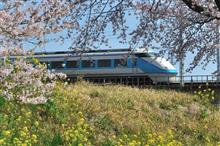 続・栃木の桜② 東武日光線 (2020 .4) 続・栃木の桜② 東武日光線 (2020 .4)