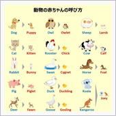 今日、甲府市内で、凄くハクい ...