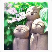 鎌倉・長谷寺と明月院のあじさい