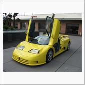 レモンイエローのEB110SS