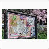 またまた栃木の桜①　栃木県道 ...