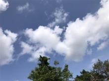 お天気は、晴れ☀️ですよー
