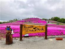 濃密な土日🌸🐟🚙💨