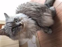 ５月も、もう少し🤏