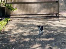 どこもおんなじ どこもおんなじ