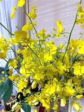 花を頂きました♪