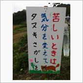 キャプテン・ケイオスって素敵 ...