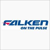 FALKEN