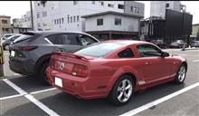 やってしもうた・・・