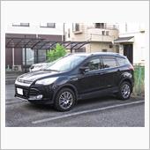 クーガ、近くにいます！