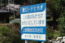 やっぱり、栃木の桜②　栃木県道15号鹿沼足尾線　(2020 .4)