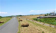 牧草ロールサイクリング