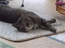 何？この税額！！！