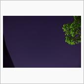 北の星空 ☆.＊*・*:.☆彡