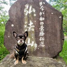 久々もん太のストレス発散!? 久々もん太のストレス発散!?