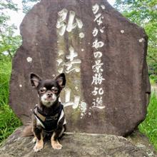 久々もん太のストレス発散！？