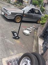 一年ぶりに•••