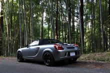 林道探検ドライブ