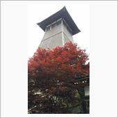 薔薇見に行ってきた