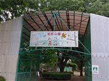 昭和公園