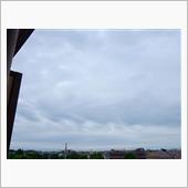 ６月３日　今週も折り返しな水 ...
